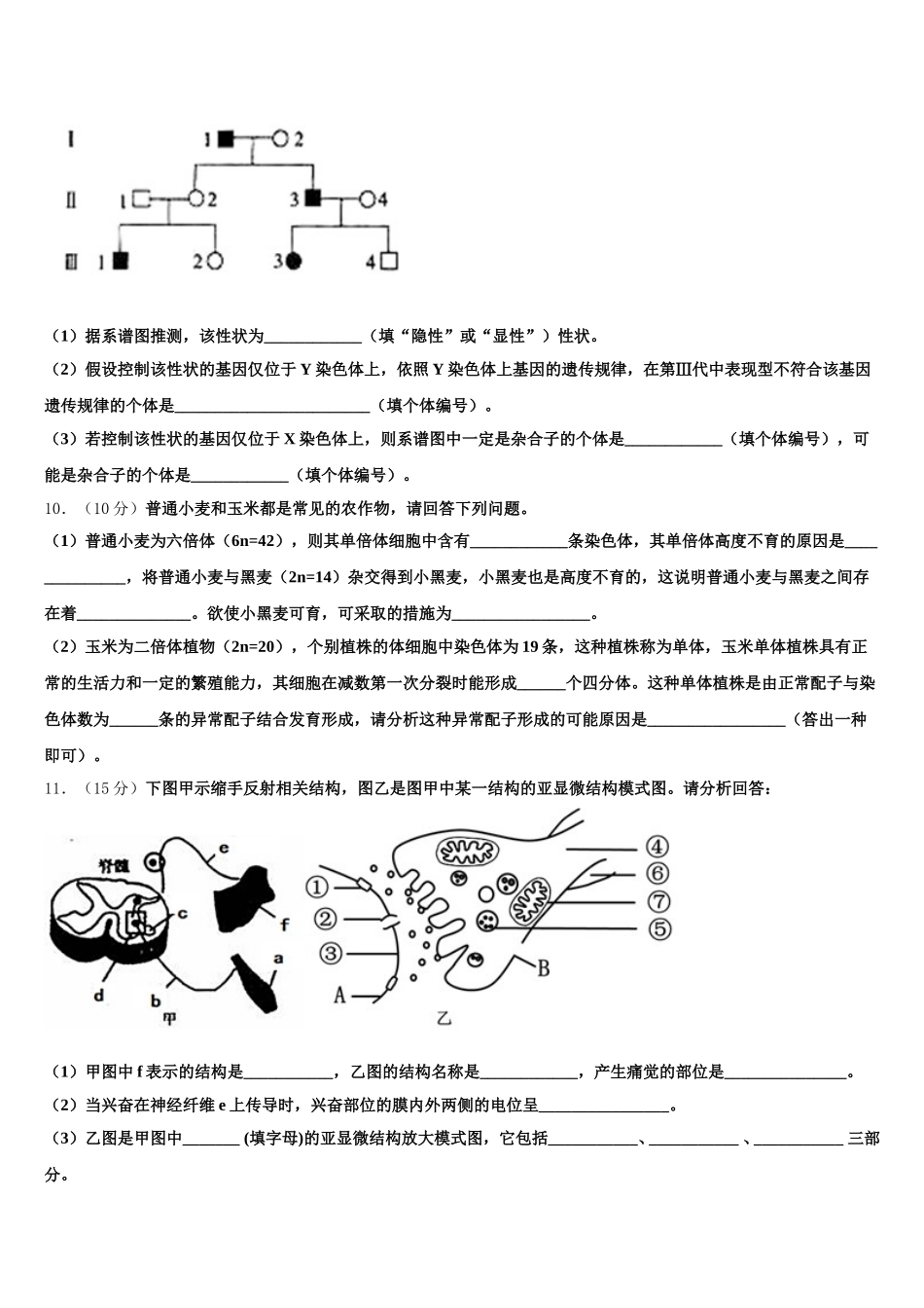 2024-2025学年重庆市北碚区生物高一下期末综合测试试题含解析_第3页