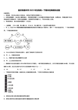 重庆铁路中学2025年生物高一下期末经典模拟试题含解析