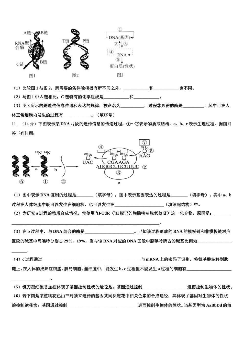重庆市万州第一中学2025年高一下生物期末学业水平测试模拟试题含解析_第3页
