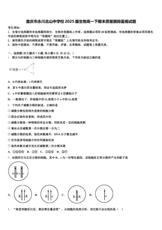 重庆市永川北山中学校2025届生物高一下期末质量跟踪监视试题含解析