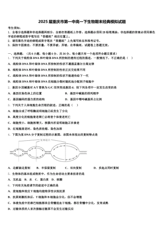 2025届重庆市第一中高一下生物期末经典模拟试题含解析
