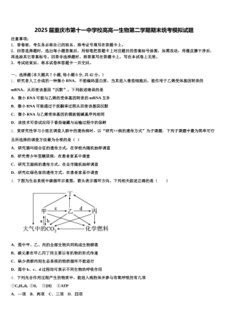 2025届重庆市第十一中学校高高一生物第二学期期末统考模拟试题含解析