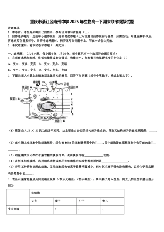 重庆市綦江区南州中学2025年生物高一下期末联考模拟试题含解析