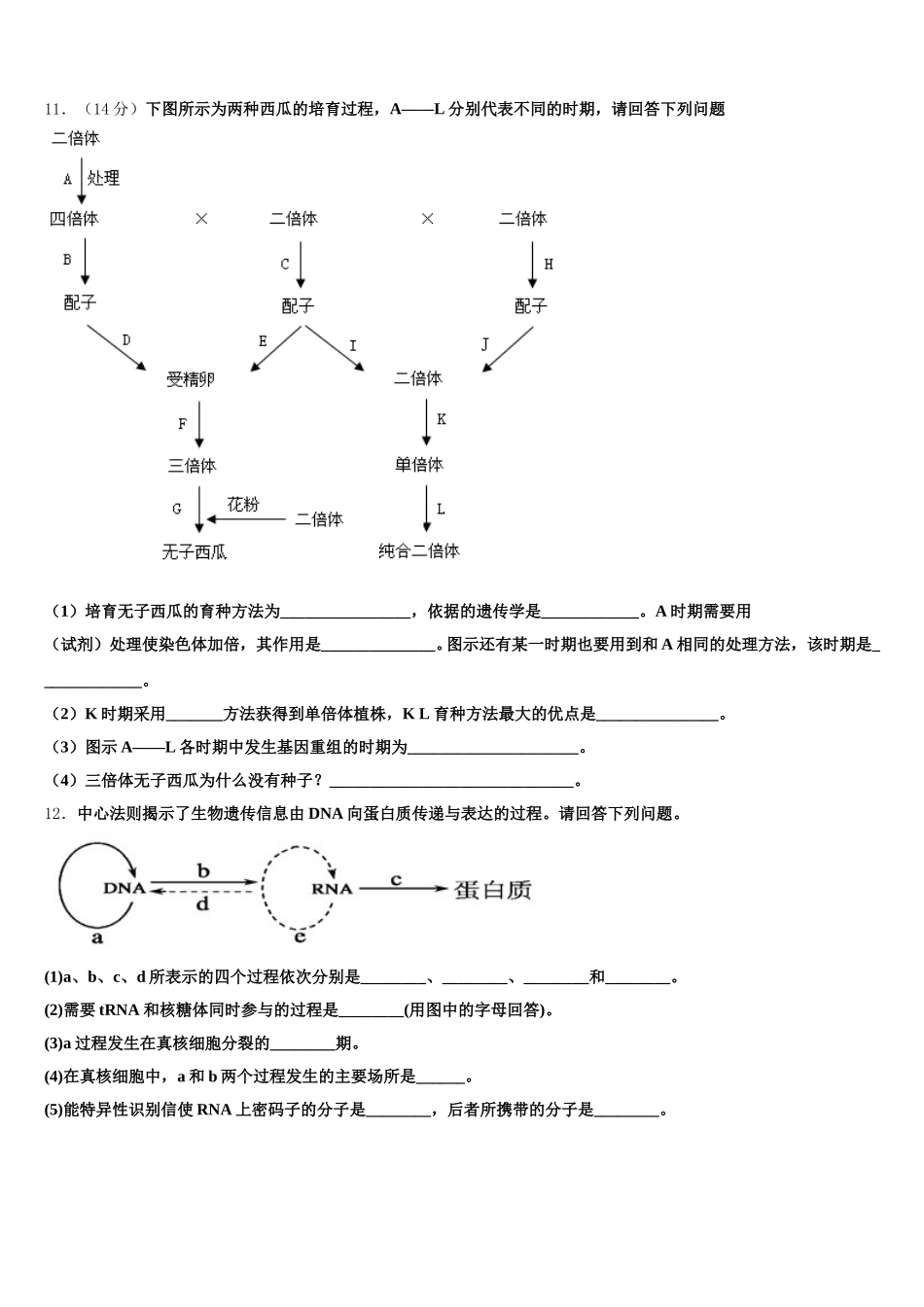 重庆市杨家坪中学2025年高一生物第二学期期末质量检测试题含解析_第3页