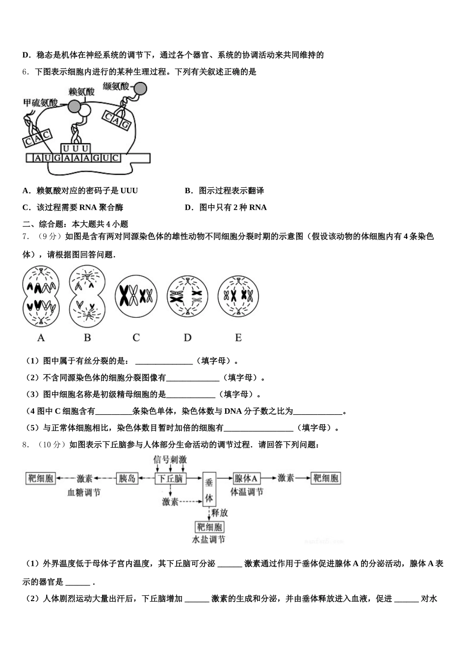 2024-2025学年重庆江北区高一下生物期末调研试题含解析_第2页