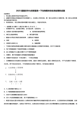 2025届重庆市七校联盟高一下生物期末综合测试模拟试题含解析