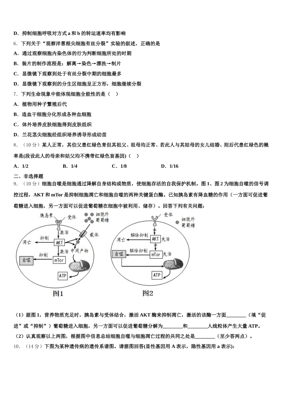 2025届东北师大附中重庆一中等六校生物高一下期末综合测试模拟试题含解析_第2页