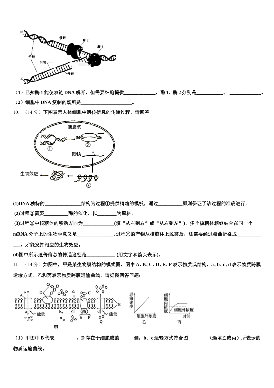 江功省睢宁县第一中学北校2025年生物高一第二学期期末达标检测模拟试题含解析_第3页
