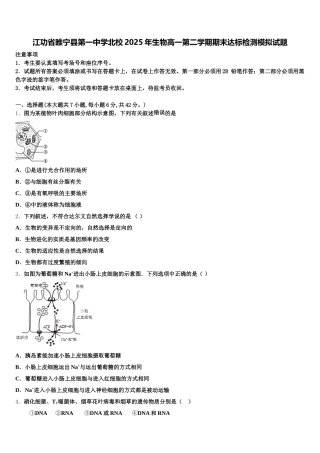 江功省睢宁县第一中学北校2025年生物高一第二学期期末达标检测模拟试题含解析