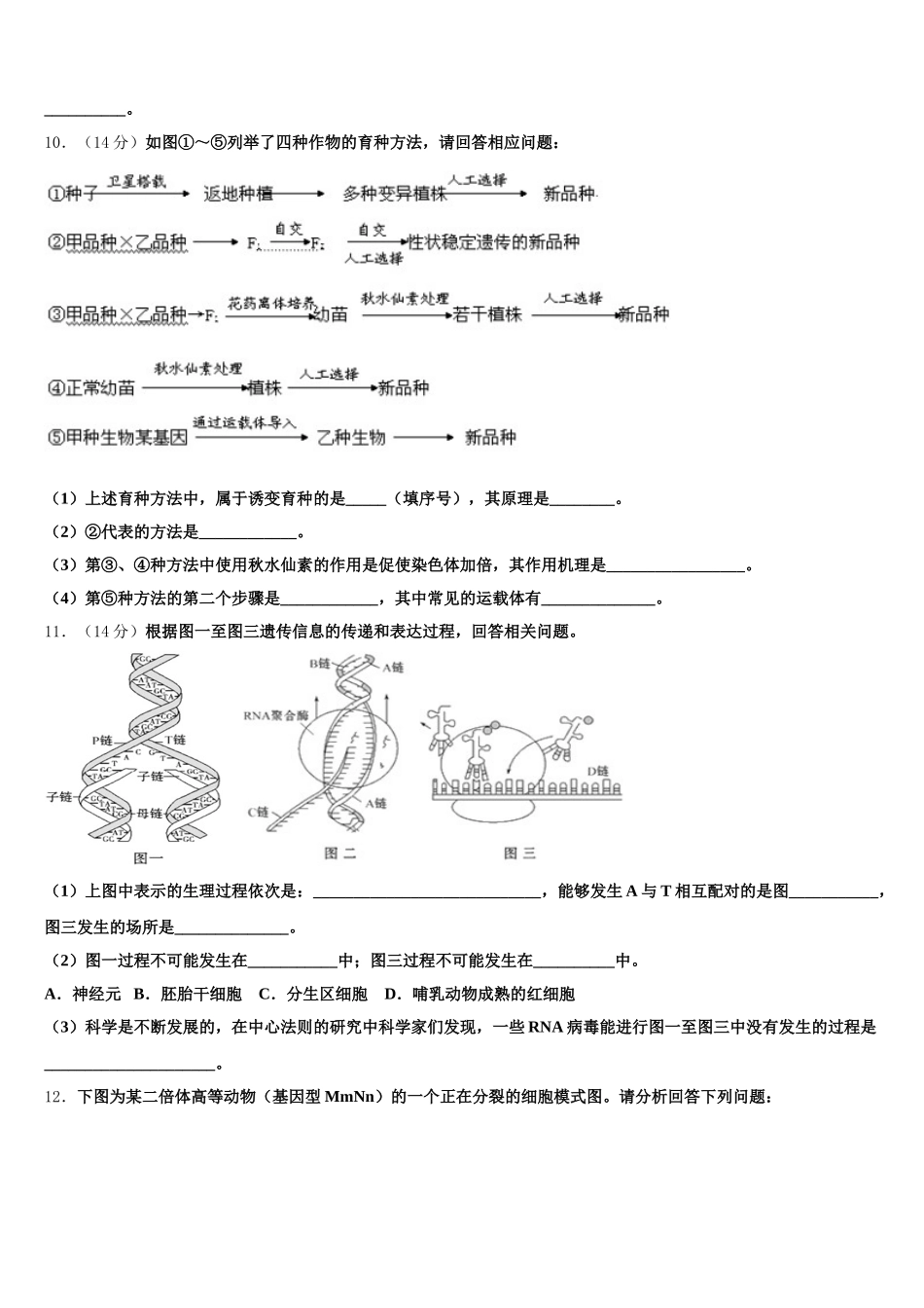 2025届重庆市主城四区高一下生物期末考试模拟试题含解析_第3页