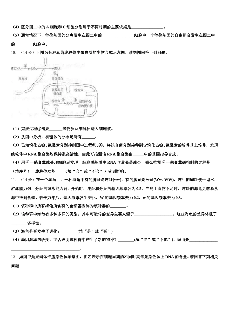 2025届重庆市朝阳中学生物高一下期末监测试题含解析_第3页