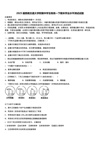 2025届西南交通大学附属中学生物高一下期末学业水平测试试题含解析