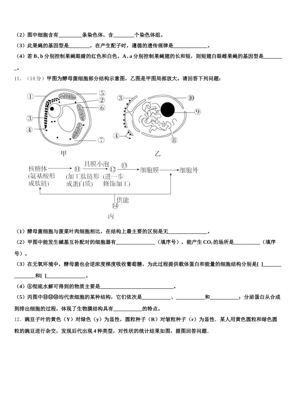 遵义县第一中学2025年高一下生物期末综合测试试题含解析_第3页