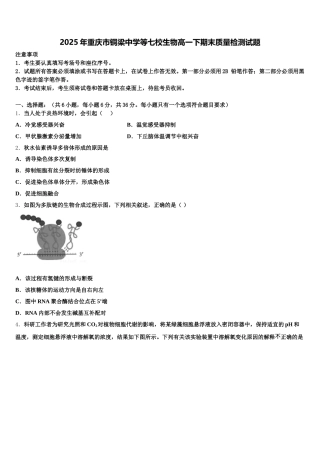 2025年重庆市铜梁中学等七校生物高一下期末质量检测试题含解析