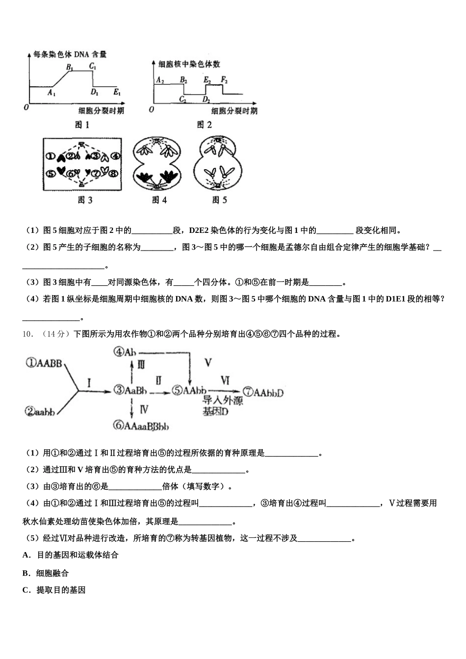 重庆杨家坪中学2025年高一下生物期末统考模拟试题含解析_第3页