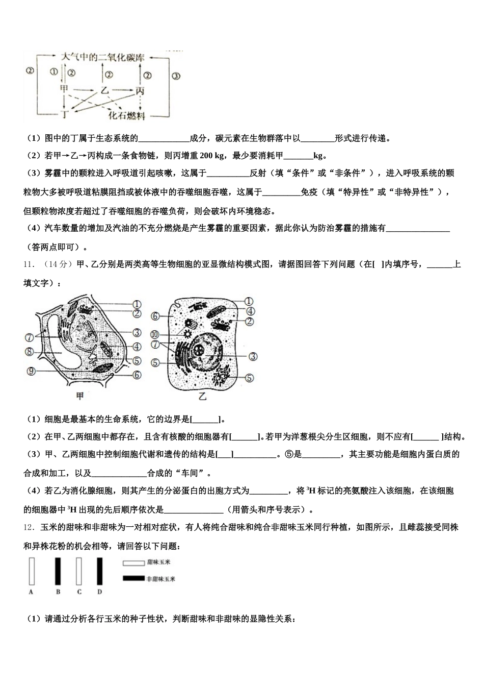重庆市育才中学2025年高一下生物期末经典试题含解析_第3页
