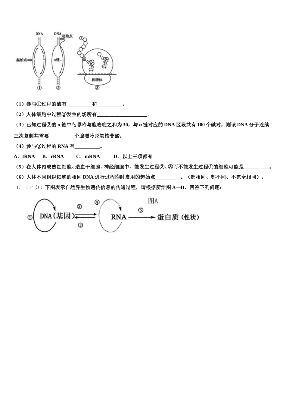 2025年重庆市十一中、七中等七校高一生物第二学期期末质量跟踪监视模拟试题含解析_第3页