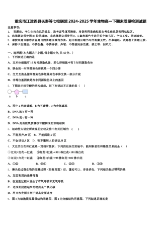 重庆市江津巴县长寿等七校联盟2024-2025学年生物高一下期末质量检测试题含解析