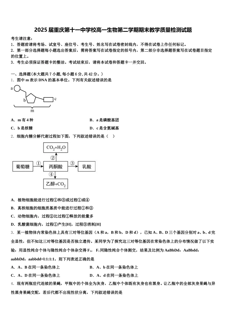 2025届重庆第十一中学校高一生物第二学期期末教学质量检测试题含解析_第1页