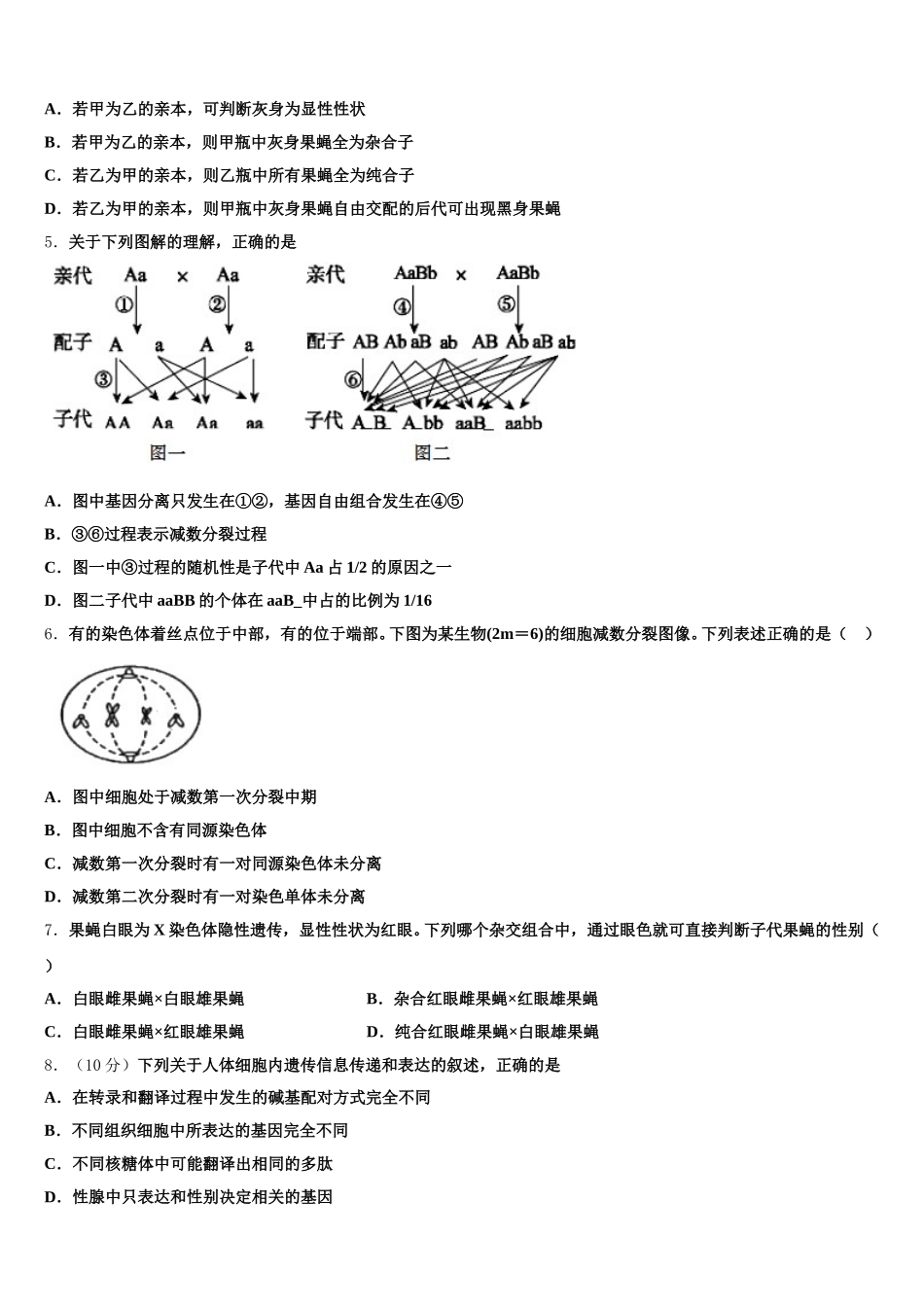 2025届重庆第十一中学校高一生物第二学期期末教学质量检测试题含解析_第2页