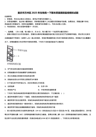 重庆市万州区2025年生物高一下期末质量跟踪监视模拟试题含解析