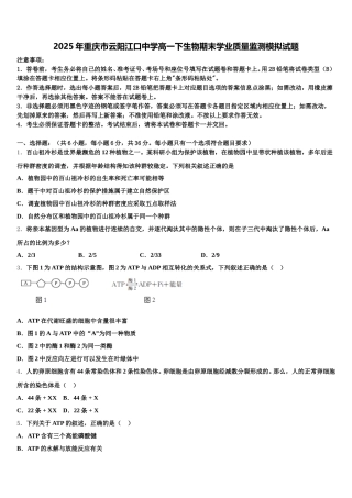 2025年重庆市云阳江口中学高一下生物期末学业质量监测模拟试题含解析
