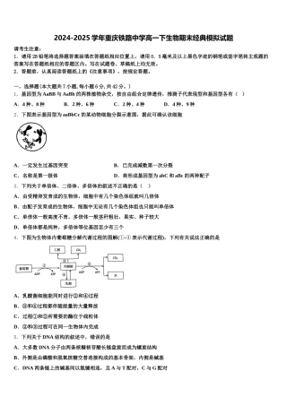 2024-2025学年重庆铁路中学高一下生物期末经典模拟试题含解析