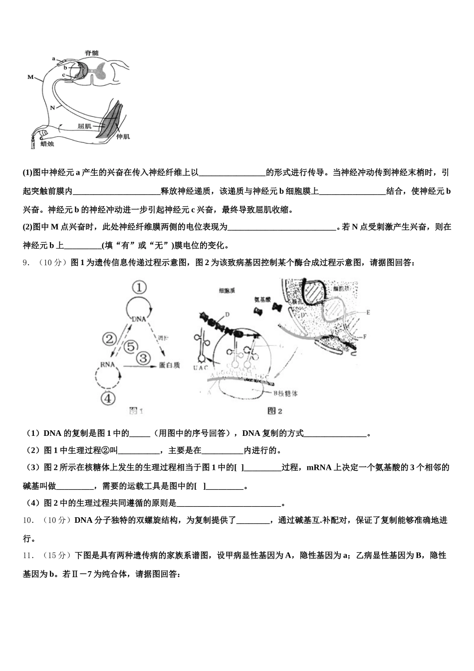 重庆市育仁中学2024-2025学年高一生物第二学期期末调研模拟试题含解析_第3页