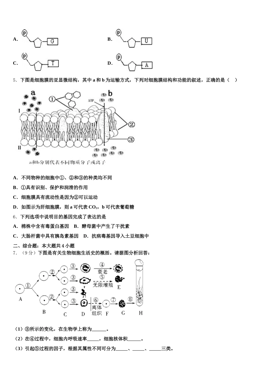 2024-2025学年重庆市朝阳中学高一下生物期末考试试题含解析_第2页