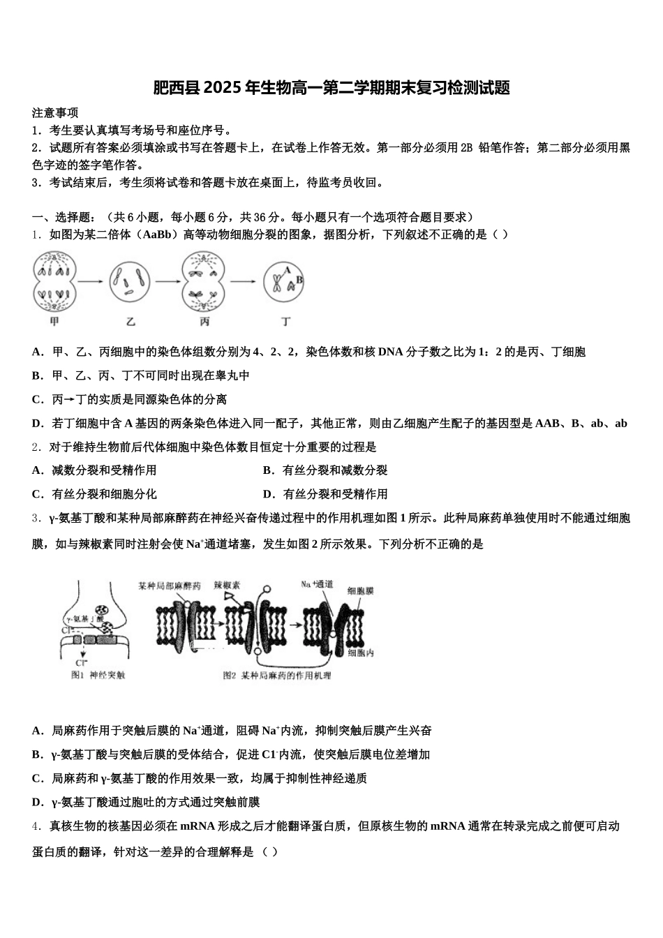 肥西县2025年生物高一第二学期期末复习检测试题含解析_第1页