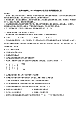 重庆市南岸区2025年高一下生物期末质量检测试题含解析