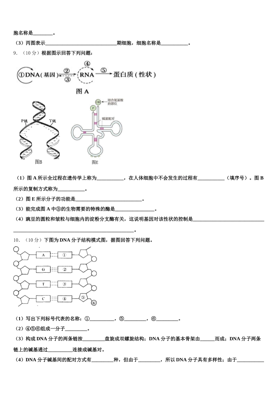 2025届重庆市秀山高级中学校高一生物第二学期期末联考模拟试题含解析_第3页