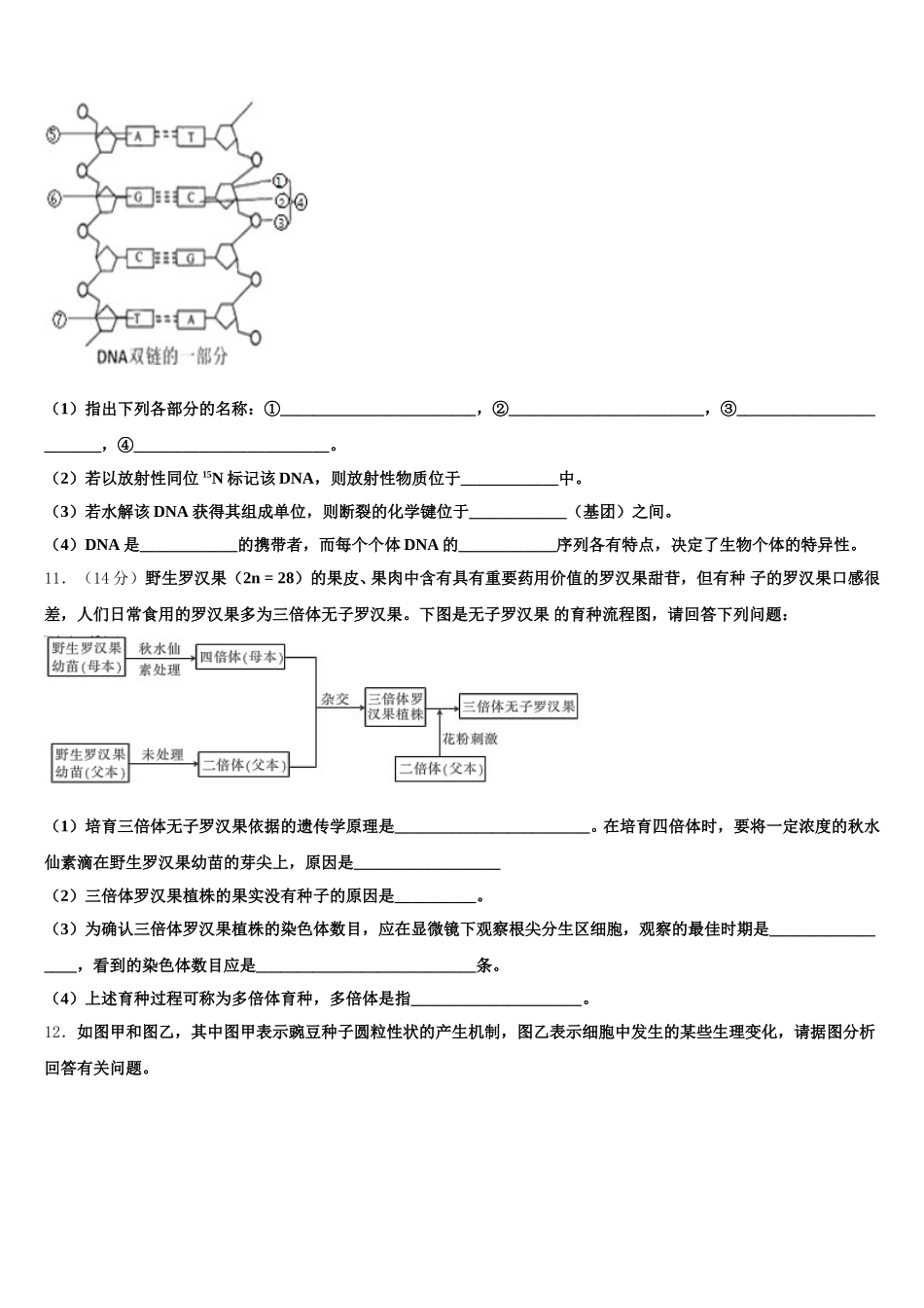 2025届重庆市大足县第一中学高一下生物期末学业水平测试模拟试题含解析_第3页