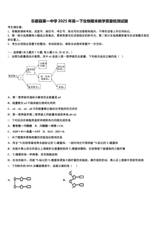 乐都县第一中学2025年高一下生物期末教学质量检测试题含解析