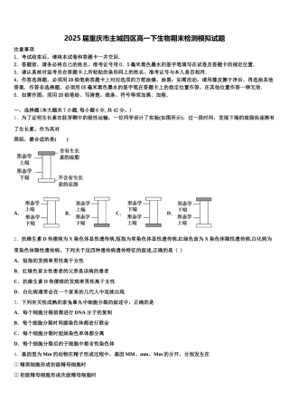 2025届重庆市主城四区高一下生物期末检测模拟试题含解析