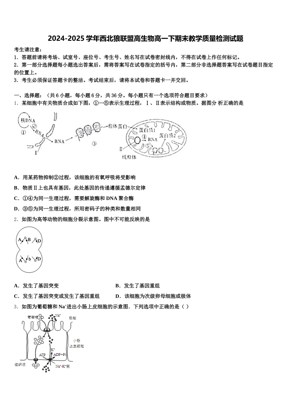 2024-2025学年西北狼联盟高生物高一下期末教学质量检测试题含解析_第1页