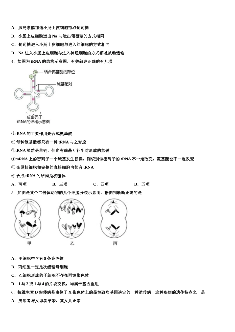 2024-2025学年西北狼联盟高生物高一下期末教学质量检测试题含解析_第2页