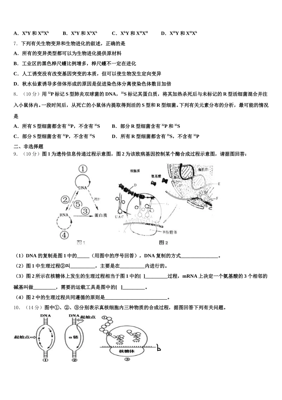 2024-2025学年内蒙古自治区包头市三十三中生物高一下期末质量检测模拟试题含解析_第2页