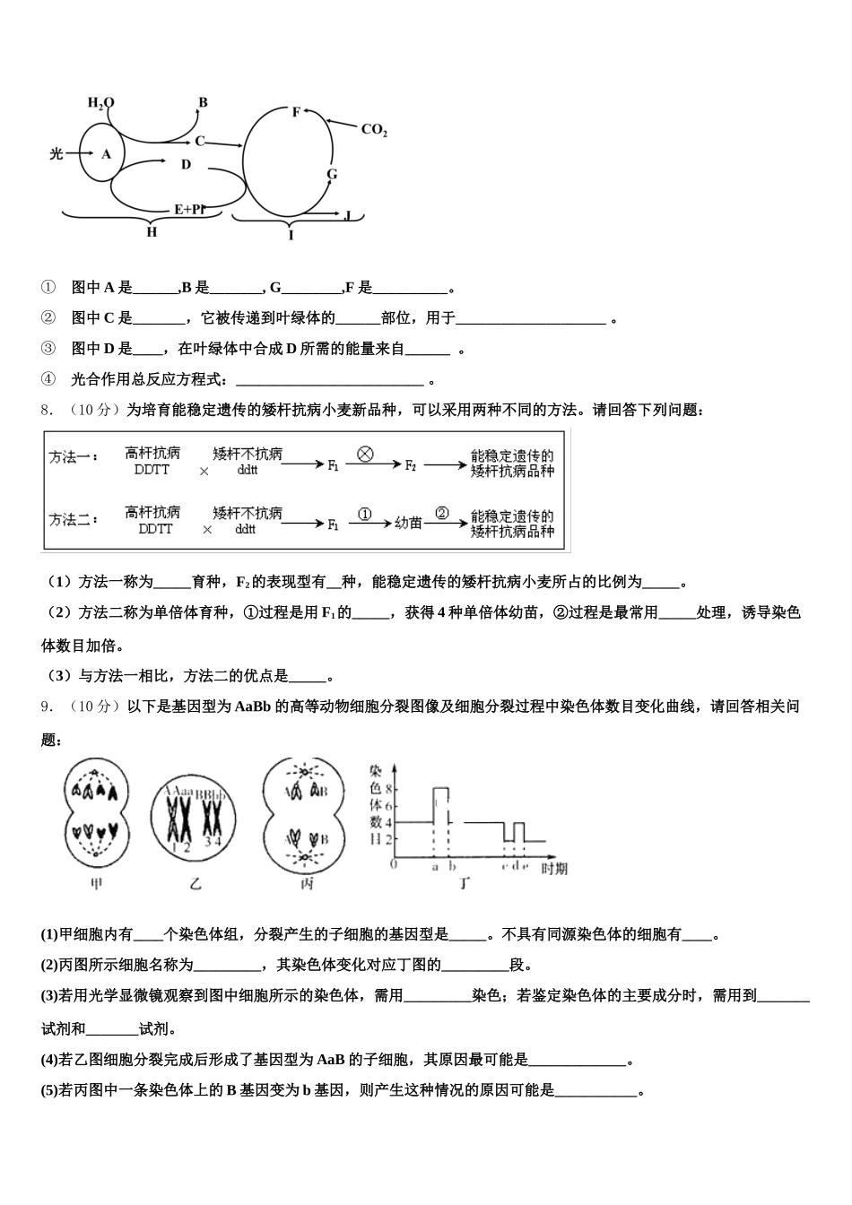 内蒙古鄂尔多斯市第一中学2025年生物高一第二学期期末综合测试试题含解析_第2页