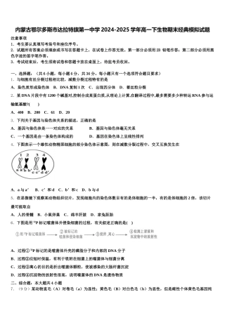 内蒙古鄂尔多斯市达拉特旗第一中学2024-2025学年高一下生物期末经典模拟试题含解析
