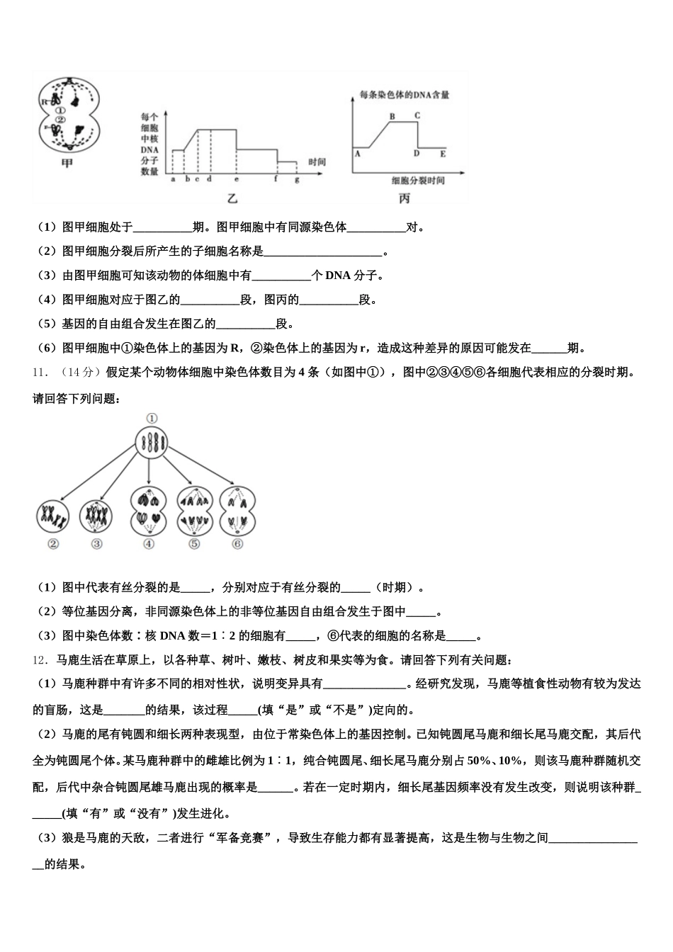 2025年内蒙古集宁市第一中学生物高一下期末调研模拟试题含解析_第3页