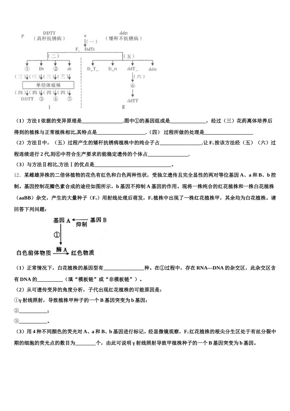内蒙古自治区包头市第一机械制造有限公司第一中学2024-2025学年生物高一下期末调研模拟试题含解析_第3页