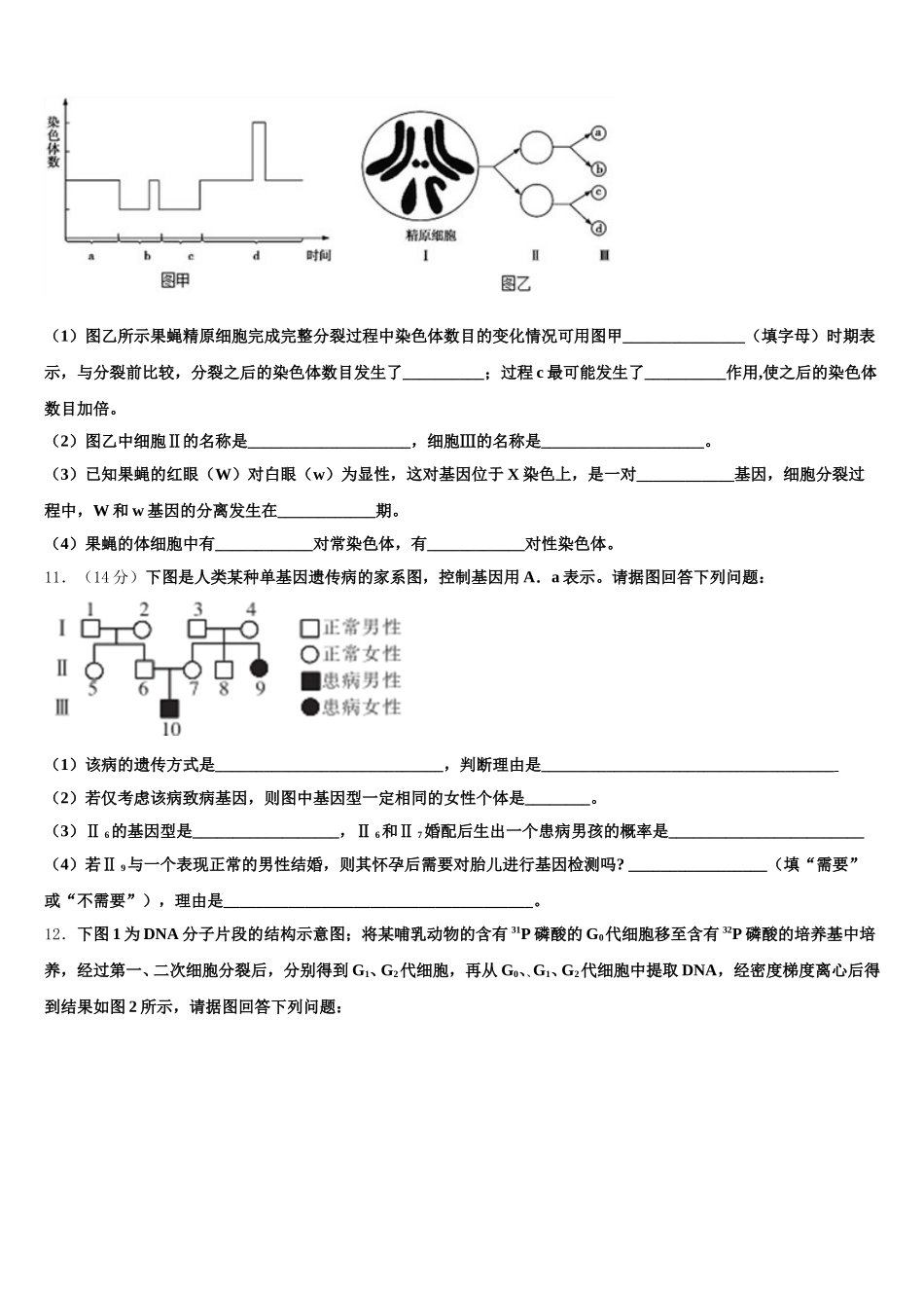 2025年内蒙古集宁第一中学高一下生物期末联考模拟试题含解析_第3页
