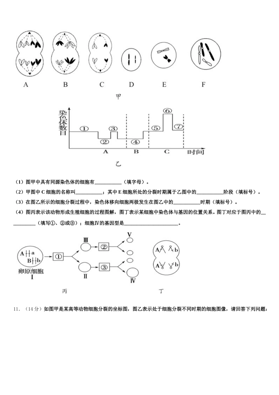 内蒙古北京八中乌兰察布分校2025年生物高一下期末经典模拟试题含解析_第3页