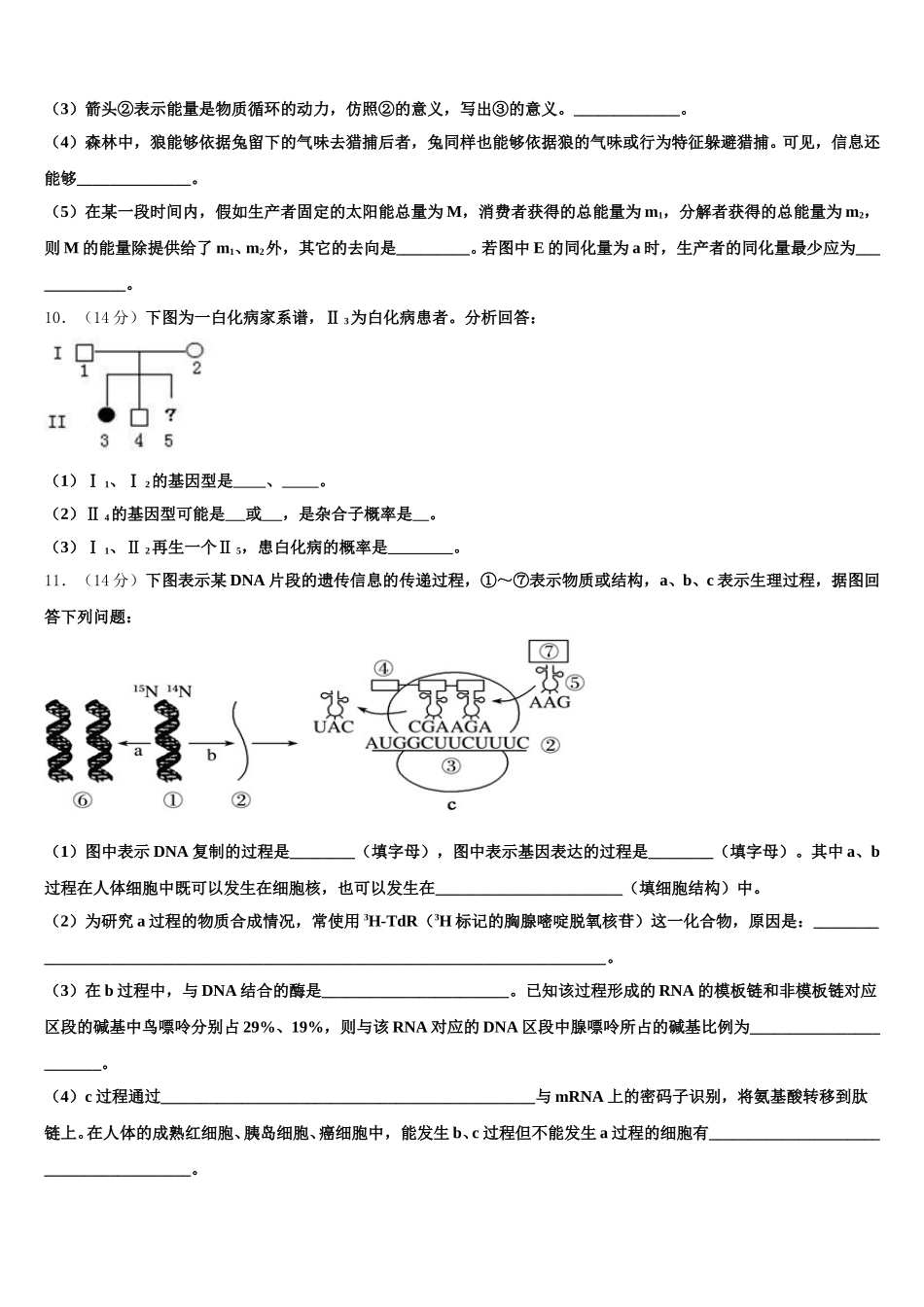 2025年内蒙古赤峰市宁城县生物高一下期末监测模拟试题含解析_第3页