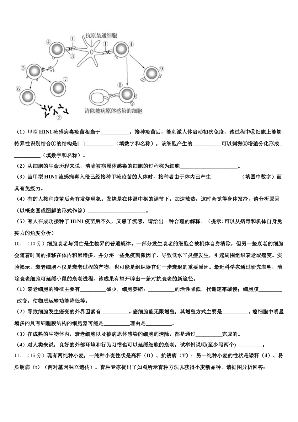 内蒙古包头市稀土高新区二中2025年高一下生物期末调研试题含解析_第3页