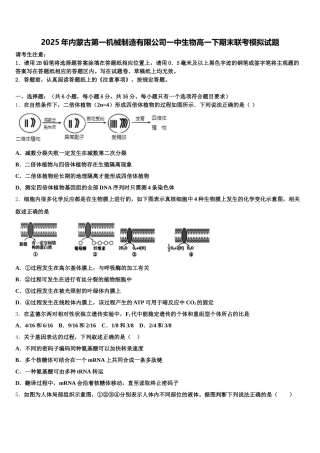 2025年内蒙古第一机械制造有限公司一中生物高一下期末联考模拟试题含解析