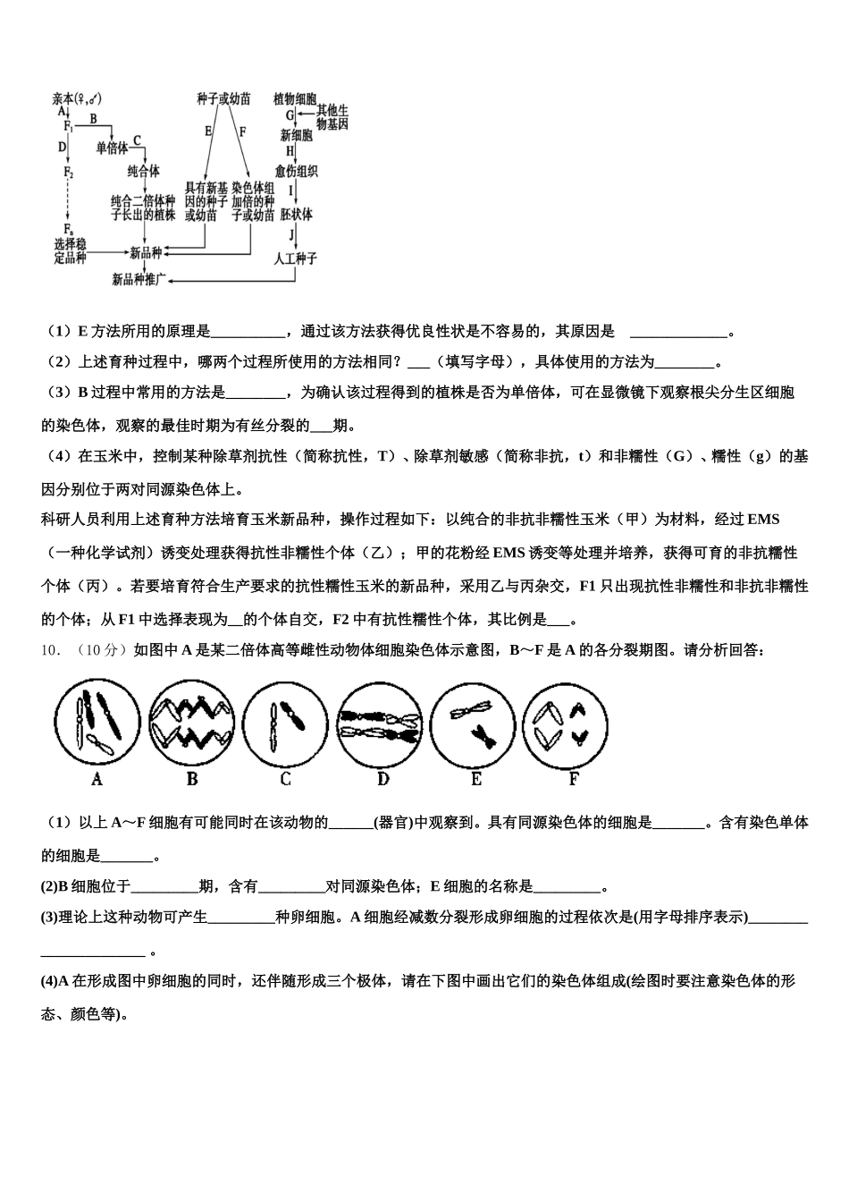 2024-2025学年内蒙古自治区包头市固阳县第一中学高一生物第二学期期末学业水平测试试题含解析_第3页