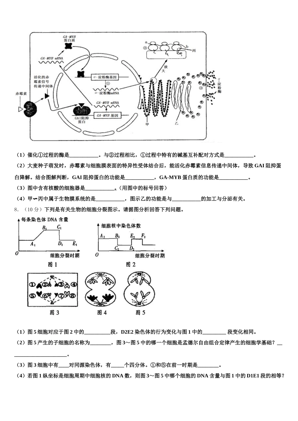 2024-2025学年内蒙古自治区阿拉善左旗高级中学高一下生物期末教学质量检测试题含解析_第2页