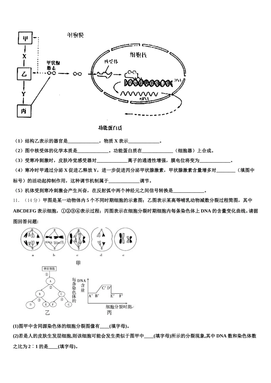 2025届内蒙古乌兰察布市集宁第一中学高一下生物期末质量检测模拟试题含解析_第3页